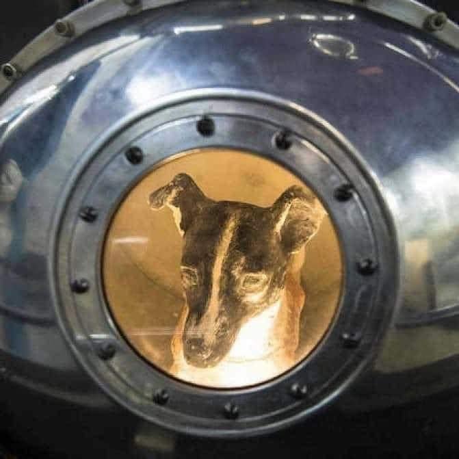 Αυτή είναι η η Laika το πρώτο σκυλί που εκτοξεύτηκε στο διάστημα. Το πραγματικό της όνομα ήταν Kudrjavka (στα ρωσικά σημαίνει 'σγουρη'). Μισή Husky και μισή τεριέ, ήταν περίπου 3 ετών. Την βρήκαν στους δρόμους της Μόσχας. Επιλέχθηκε γιατί ήταν ήρεμη, πειθήνια και απόλυτα