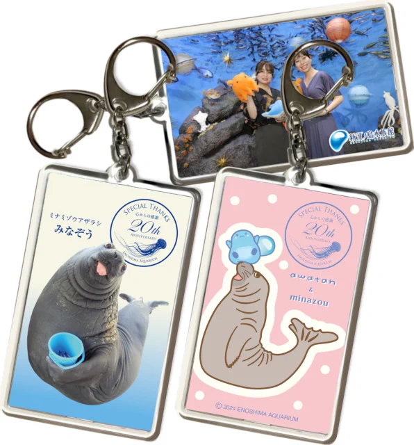 新江ノ島水族館 on X: 