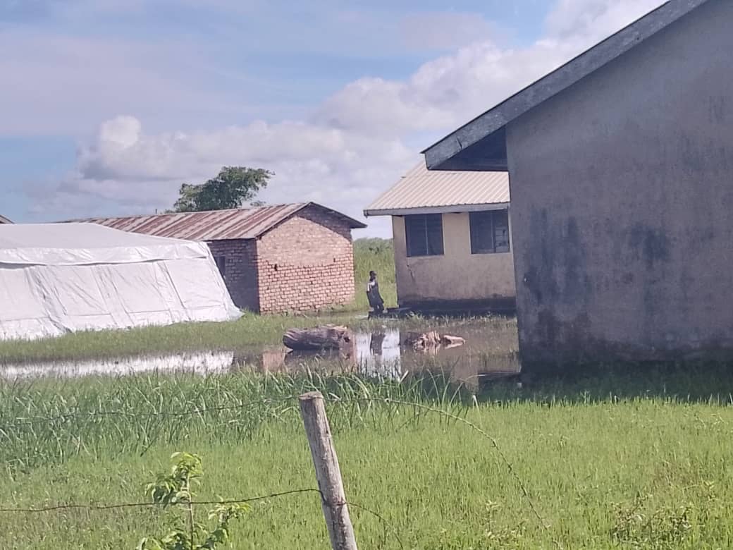 Kalungu District authorities have temporarily closed Kamuwunga Primary school in Lukaya Town council. Floods cut off the school making it hard for the pupils to access it. Details @ntvuganda