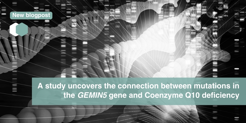 🧫🧬 A new study co-led by @IRSJD_info and @CABD_UPO_CSIC uncovers the connection between mutations in the #GEMIN5 gene and #CoenzymeQ10 deficiency, opening new therapeutic pathways. More details on the blog 👉 share4rare.org/news/study-mut… #rarediseases #mitochondria