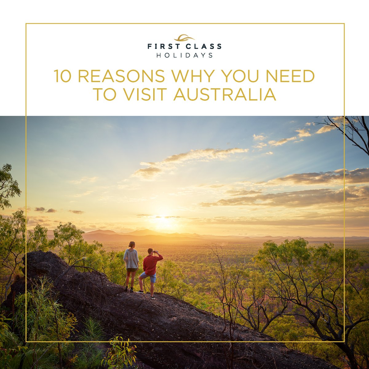 First Class Holidays tweet media