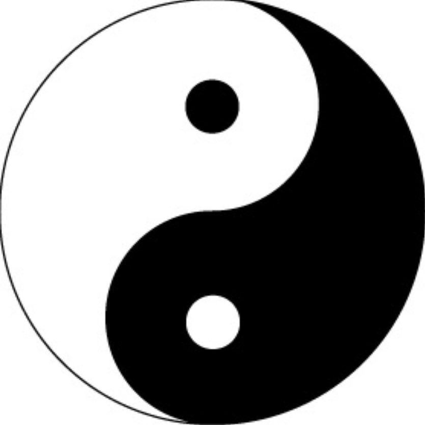 〜太極図〜
韓国の国旗や漫画に登場する太極図。なんであの形なのか気になったことありませんか？
なんで勾玉2つ？とか○ンスターボールの白黒でよくない？とか。
実はちゃんと理由があります、しかも複数。
どんな理由があるのか？詳しくは中医学N基礎理論で！
chuigaku-n.com