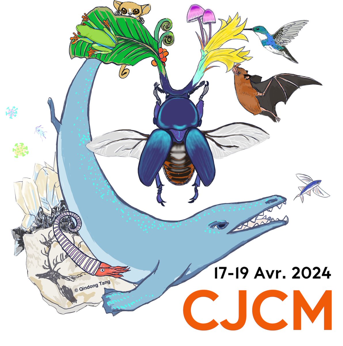 L' édition 2024 du CJCM organisé par le Bureau des Doctorants et Étudiants de @Le_Museum commence demain. Les Jeunes Chercheur.e.s @UMR_BOREA y présenteront leurs travaux de recherche les 18 & 19 avril. @MNHN_recherche @Sorbonne_Univ_ Programme et infos : cjcm.fr