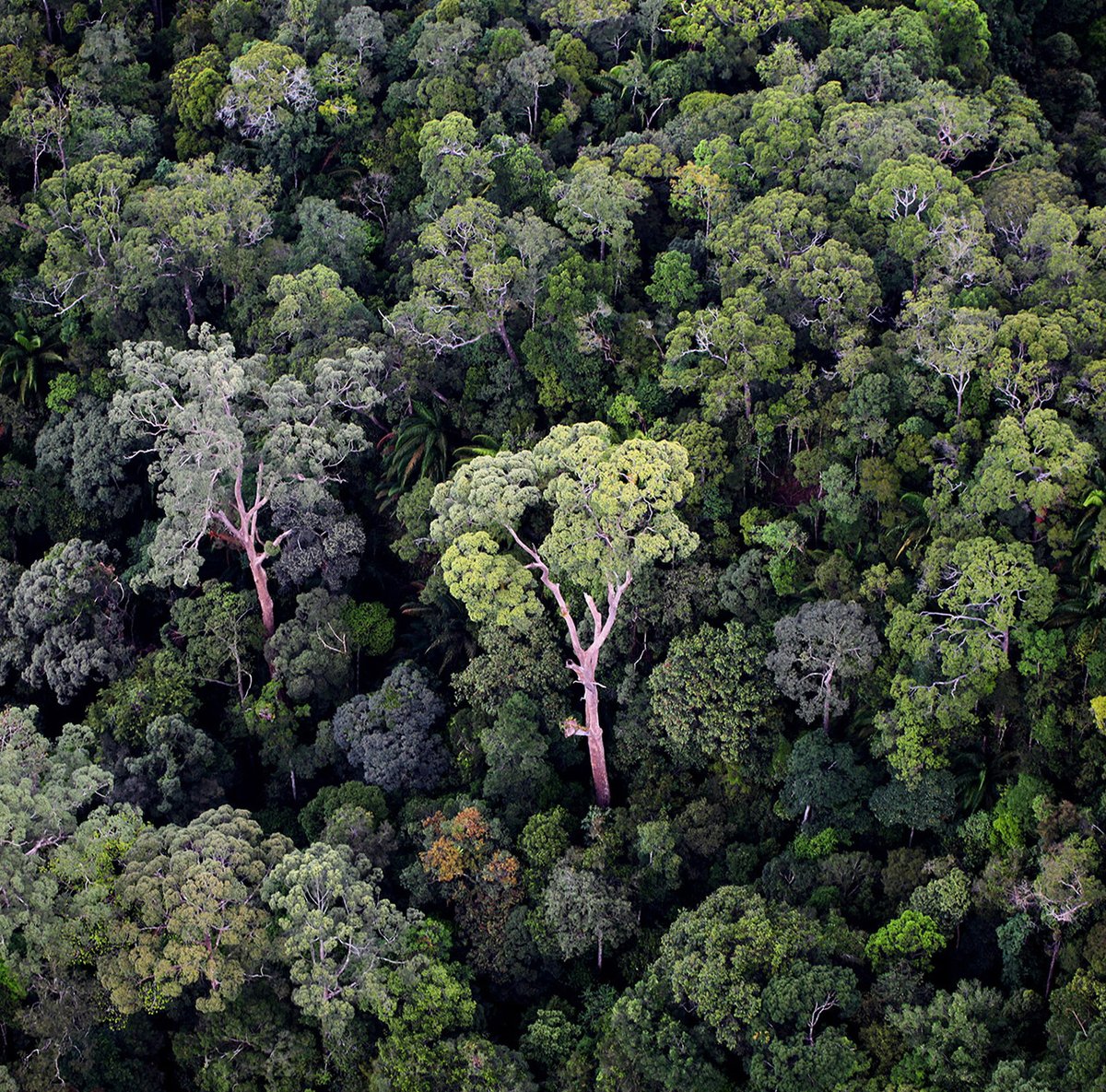 Benefits of Biodiversity #UrbanMind team have found that natural spaces with a diverse range of natural features are associated with stronger improvements in mental wellbeing compared to spaces with less natural diversity. #ScientificReports! nature.com/articles/s4159…