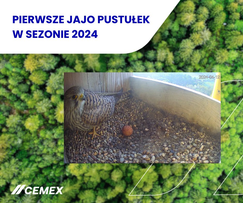 CEMEX Poland tweet media