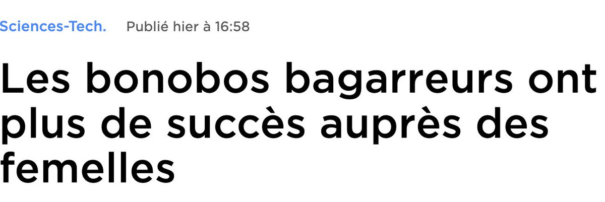 ça part au Carrefour City claquer le cul du mec de la sécu en lui disant qu'il est coiffé comme une couille