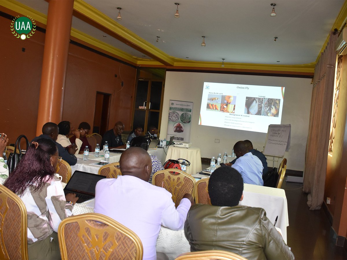 UAA's Onion/Garlic Platform is continuing to address crucial challenges faced by the diverse stakeholders along the onion and garlic value chains and taking lead in advocating for solutions that will increase the competitiveness of Uganda’s onions & garlic in various markets.
