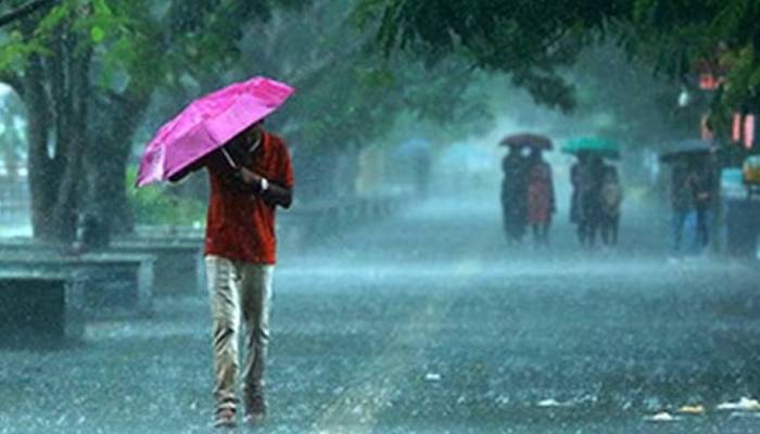 ખેડૂતો માટે સારા સમાચાર, ચોમાસાને લઈ હવામાન વિભાગે કરી મોટી આગાહી
tv13gujarati.com/news/good-news…
#farmer #monsoon #monsoonseason #monsoon2024 #rainforcast #rainyday