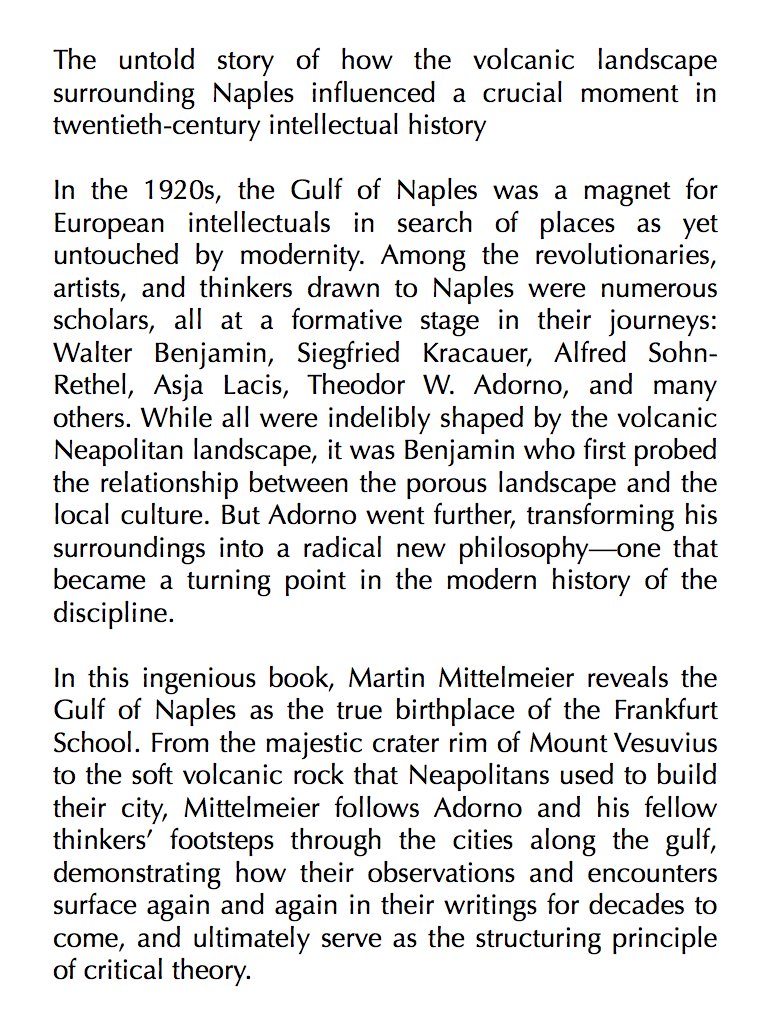 Traduction anglaise de Martin Mittelmeier - Naples 1925 Adorno, Benjamin, and the Summer That Made Critical Theory À paraître en novembre aux Yale UP