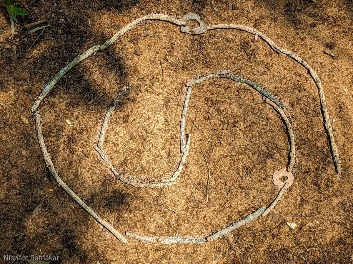 Made a symbol in the #Tulu script using twigs and dry leaves.

Guess what it is.

#TuluTo8thSchedule 
#TuluOfficialinKA_KL