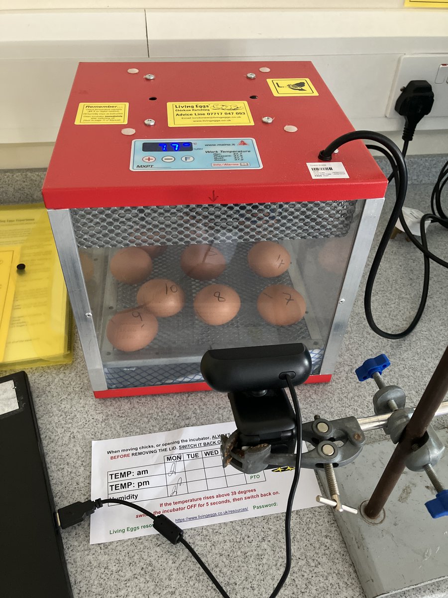 SHS Science tweet media