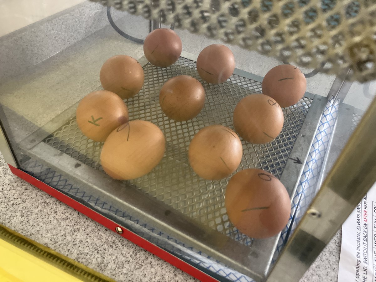 SHS Science tweet media