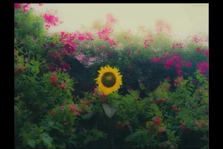 Muaviiaa's tweet photo. You are 1 in a million.🌻 https://t.co/dSXg5lkvxJ