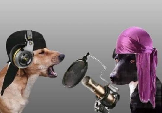 Punch Line Challenge!

🎤 "I named my dog 666 because iluma nathi"