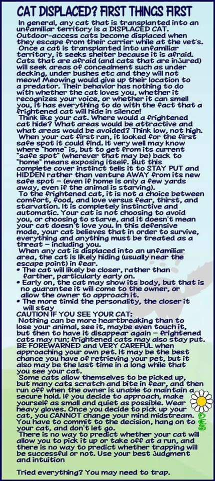 @736Ash Register @DoglostUK use link to join doglost.co.uk/add-dog.php?st… then register using doglost.co.uk/add-dog.php?st… They help with lost cats too-scroll down breed list to #Cat when registering
They send email alerts to helpers in area lost-helps with extra eyes looking out
Tips2Help⬇️