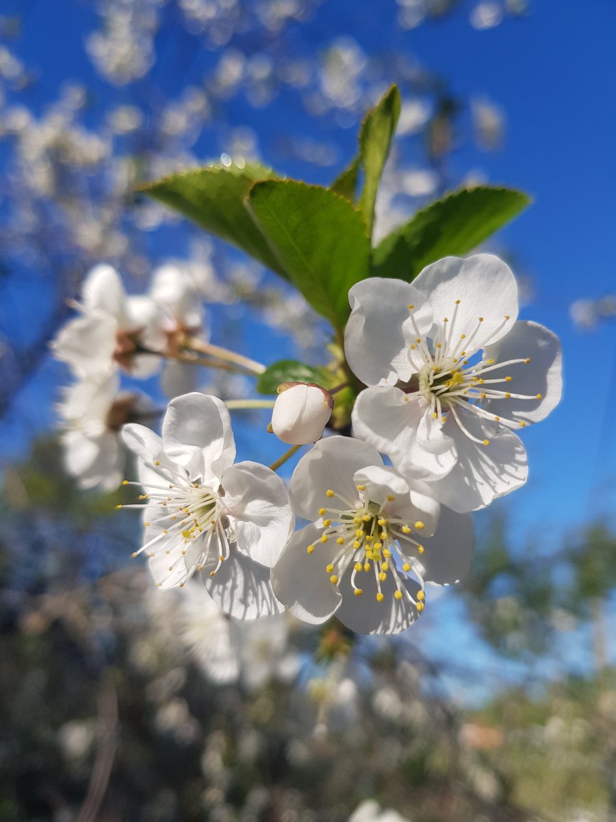 Günaydınnn..🌸💚☀️