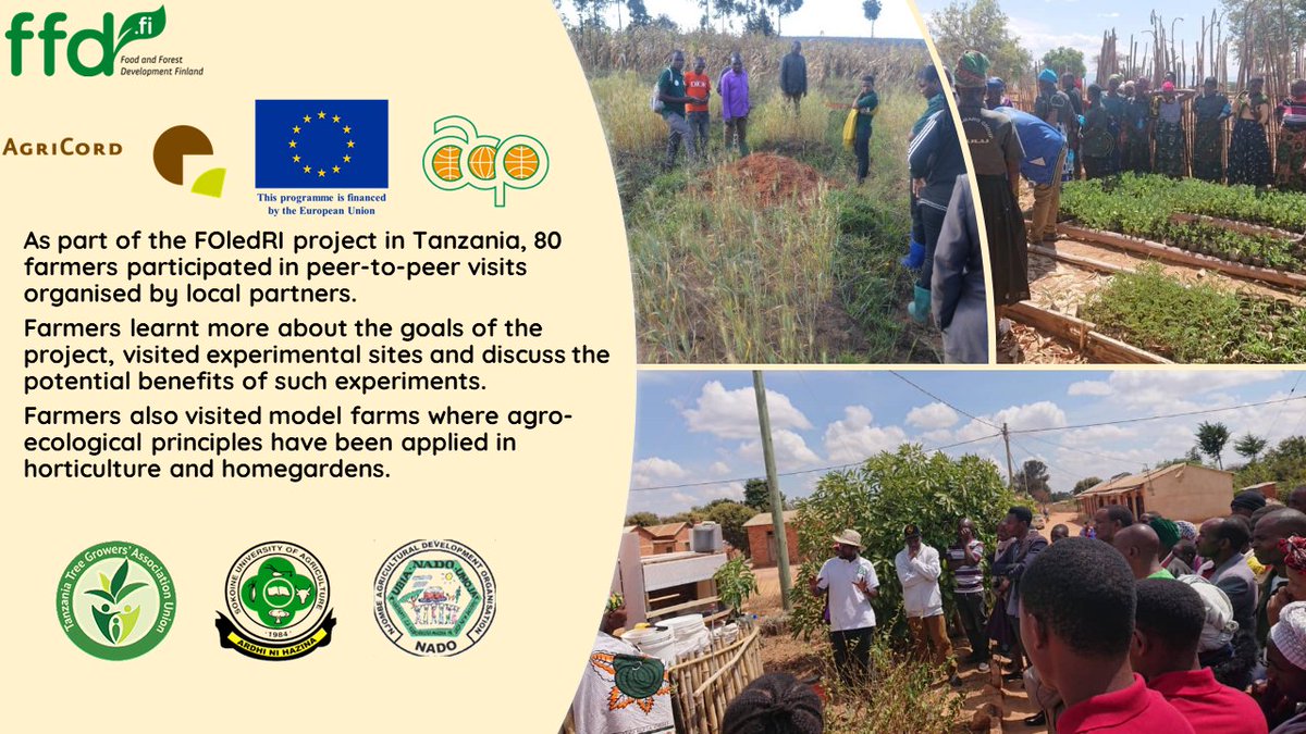 The #FOLedResearch project provides capacity building on #agroecology through peer2peer activities in #Tanzania | @FFP_AgriCord #FarmersInnovateTogether @PressACP @EU_Partnerships #WeAreAgriCord