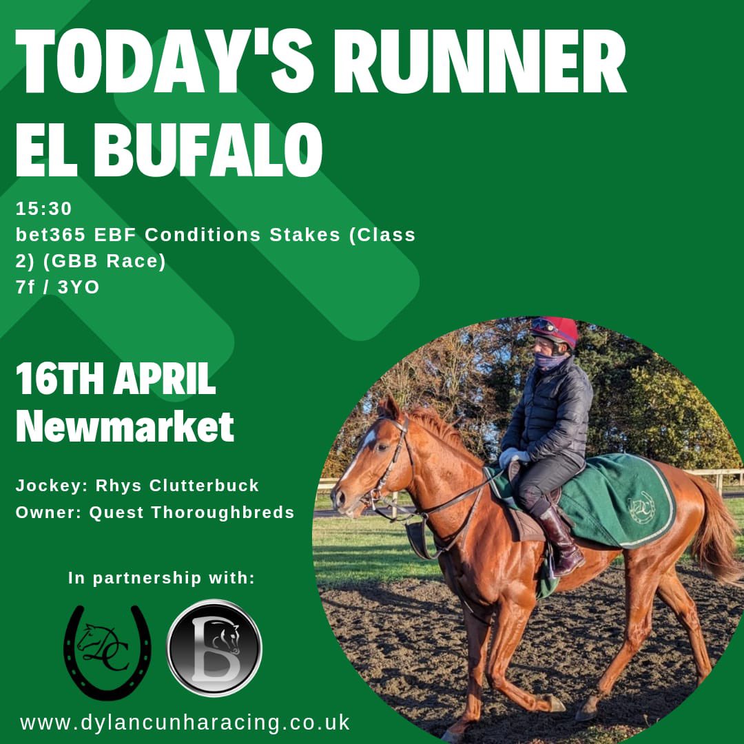 El Bufalo runs today @NewmarketRace with @ClutterbuckRhys on @RacingTV 🏇💚💫