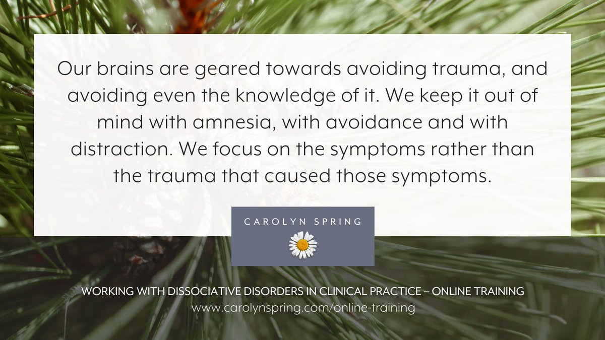 A key unconscious strategy for coping with #trauma is to not know about it. This happens on both a personal and societal level. It's a great short-term coping mechanism, but unfortunately a terrible long-term one. Find out more here: carolynspring.com/shop/wwddicp-o…  #TherapistsConnect