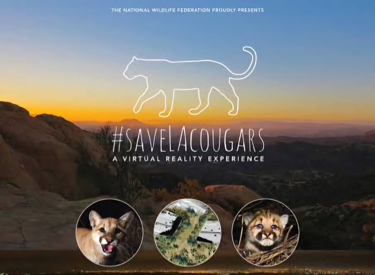 GearVRcodex's tweet photo. April 19, 2018 - Left Field Labs releases "Save LA Cougars VR" for free.
This title can still be downloaded and still works.
NEWS VR in app video:
https://t.co/yibmhvVKi0
#GearVR #VirtualReality #GearVRcodex https://t.co/NFXcXvFWkb