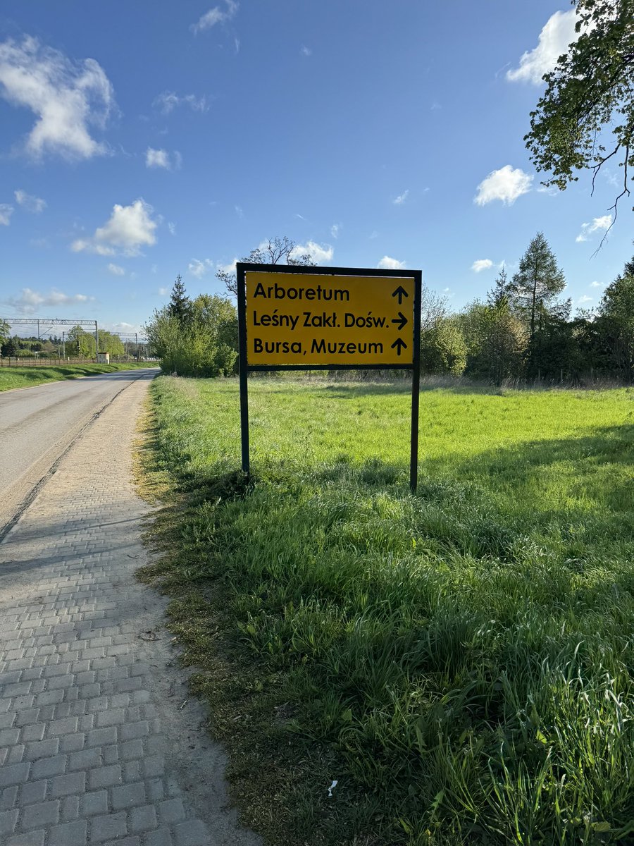 Konferencja „Jak, gdzie i dlaczego wyznaczać obszary cenne przyrodniczo i ważne społecznie?”. Być może nie ma dziś w przestrzeni publicznej istotniejszego tematu w kontekście Lasów Państwowych. W sesji posterowej przedstawimy zagadnienie związane z mobilnością społeczeństwa