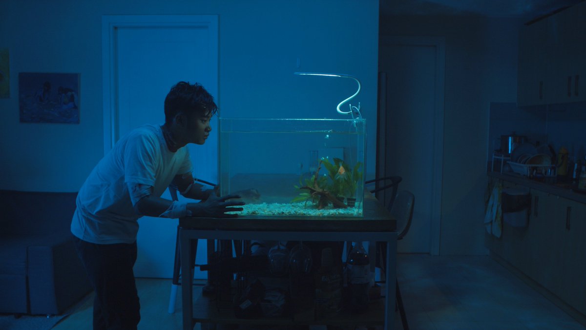 hwpscheewe's tweet photo. some stills from to drown a fish! still just a temporary grade but im so happy with how @aj_rnzmdz's pd and @daryll_anuran's lighting turned out 🐟 https://t.co/ehrlIBNLni