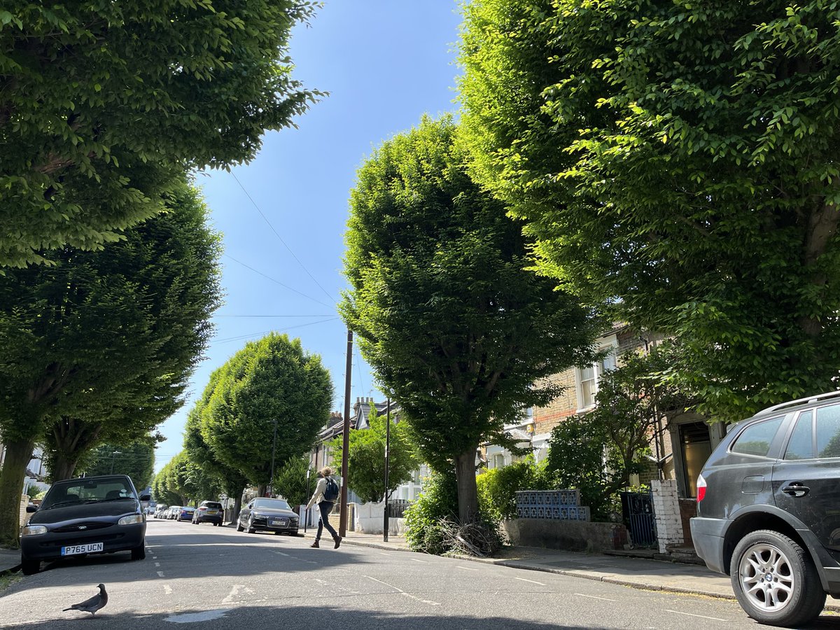Lets fit every street with its own air-purification system🌳🌳 Pollution is a sad fact of urban life. One measure we can take is planting more street trees: 🥅Capture particulate matter 🧽Absorb harmful gases 🫁Produce oxygen 🫧Release water vapour & 😀other beneficial…