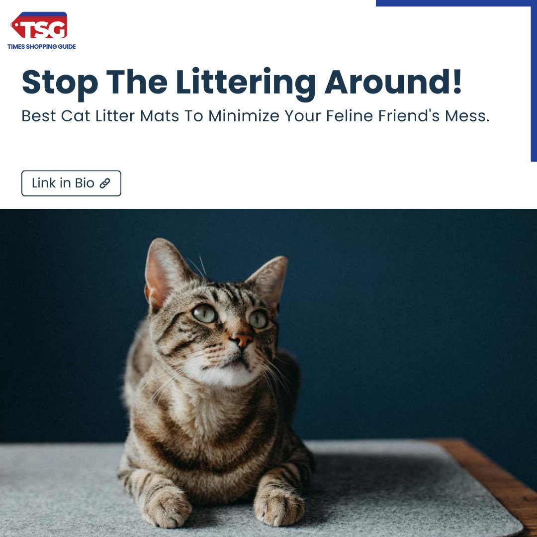 Tired of cleaning up behind your little feline friend? End this mess with the best cat litter mats by your side that capture litter perfectly!

Hit the link for more details timesshoppingguide.com/pet-supplies/h…

#petsuppies #catlover #catlitter #littermat #petservices #explore #guide