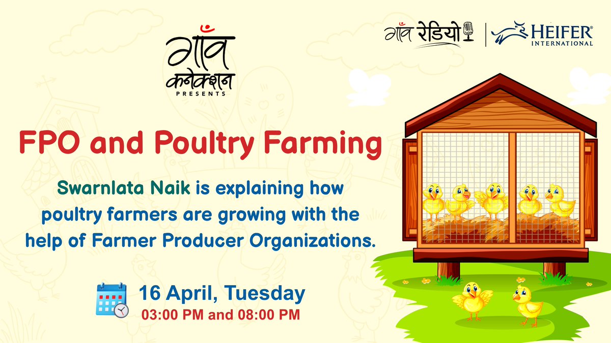 GaonConnectionE's tweet photo. Swarnlata Naik is explaining how poultry farmers are growing with the help of Farmer Producer Organizations.
ЁЯУЕ April 16, Tuesday
тП░ 03:00 PM and 08:00 PM
Don't forget to tune in
Only on https://t.co/q2JGgXI5Kc
#PartnerContent #HatchingHope #PoultryFarming #GaonRadio https://t.co/85HCDq2zHN