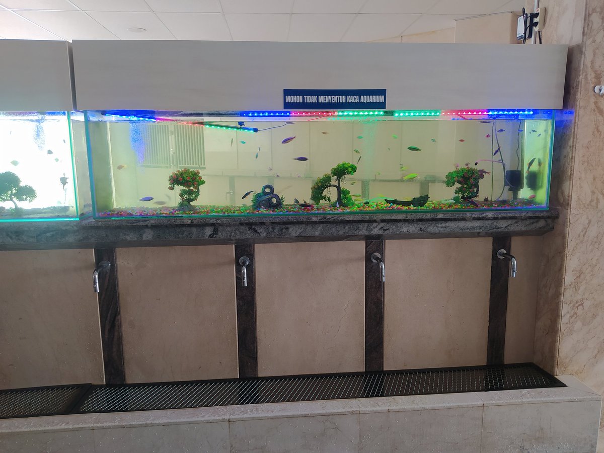 amirulikram22_'s tweet photo. Masjid ternyaman yg pernah aku tempati salat.

- AC dingin.
- Kamar mandi kyk di hotel, bersih.
- Tempat wudu ada akuariumnya.
- Ada sandaran di safnya. Cocok sekali buat pemuda-pemuda jompo.
- Ada lift dan eskalatornya.
- Parkirannya cukup luas dan tentunya gratis dong, gak ada tukang palak.

Ada bocil di samping aku ngomong ke temannya: "Ini masjid atau mal?" Wkwk

Yups, ini di Masjid Jami Al-Badr, Rumbai, Pekanbaru.

Tampilan luarnya lupa difoto.