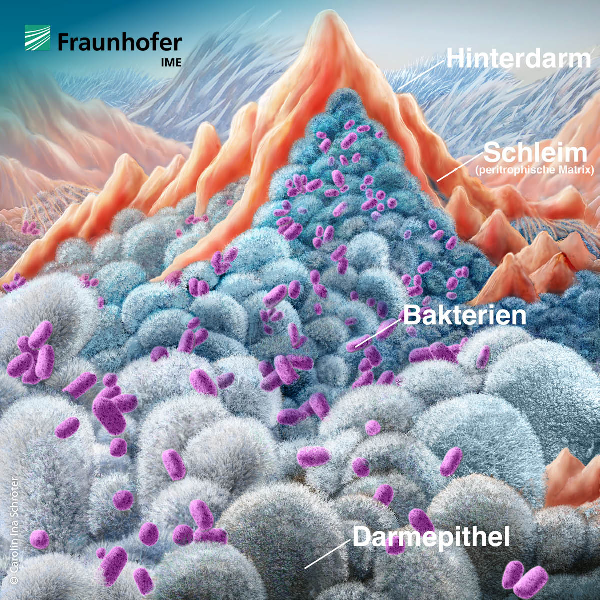 Fraunhofer_IME tweet picture