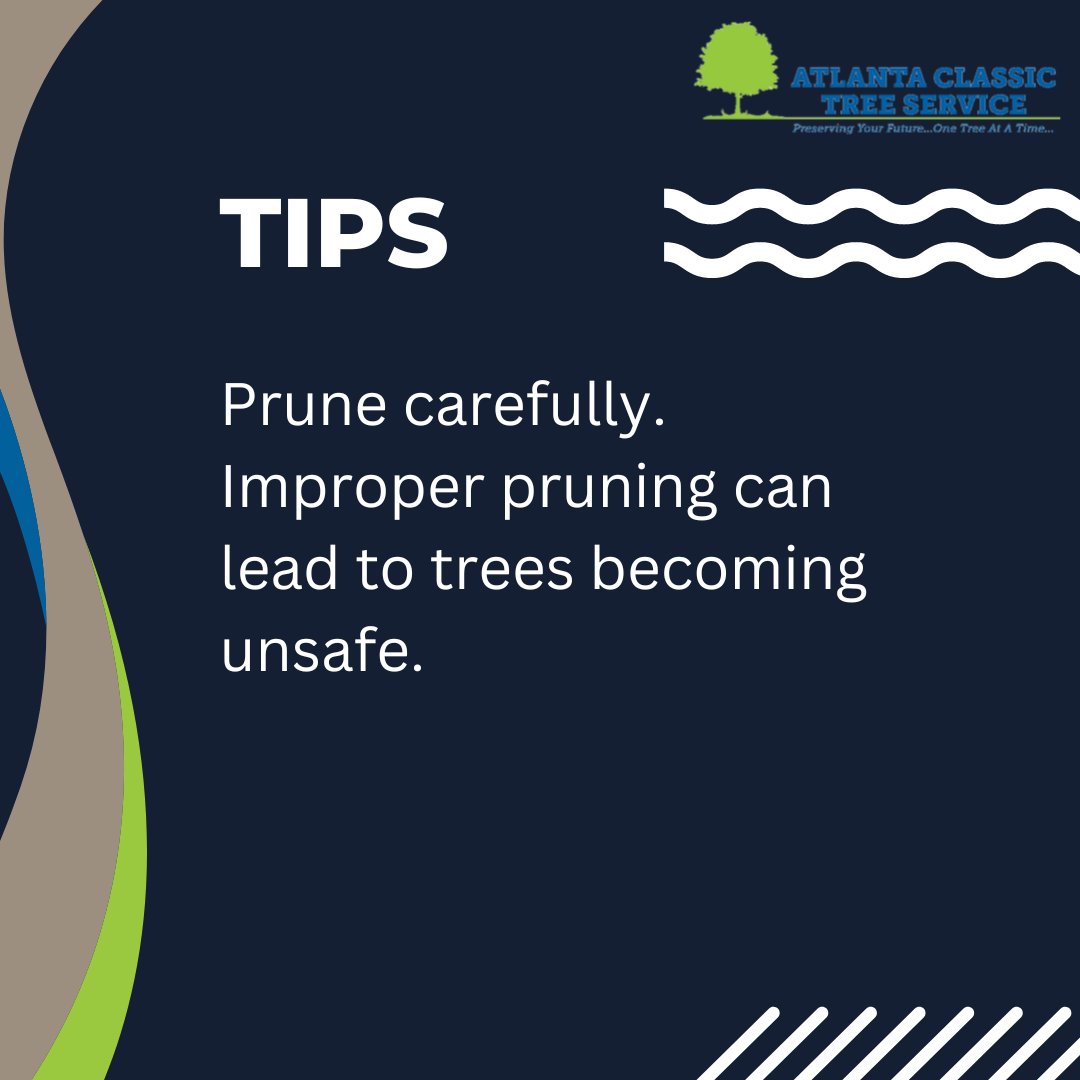 Exercise caution when pruning. Incorrect pruning techniques can result in trees becoming hazardous.

#treelife #treecare #arblife #pruning #treesurgeon

Contact us today for more information! (770)-629-8660.
