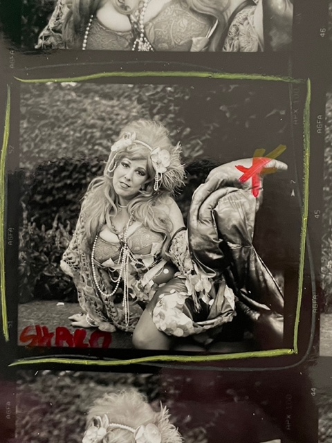 Save the mermaids!   (Photo by Joyce Culver) https://t.co/HQSi70OalT<a href="/tag/love"class="tags"><span>#love</span></a><a href="/tag/stopthewar"class="tags"><span>#stopthewar</span></a><a href="/tag/gaza_genocide"class="tags"><span>#gaza_genocide</span></a>