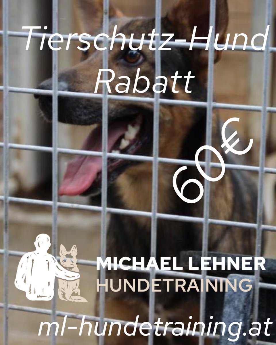 Für Hunde aus dem Tierschutz biete ich jetzt einen Rabatt an. Jetzt buchen unter ml-hundetraining.at