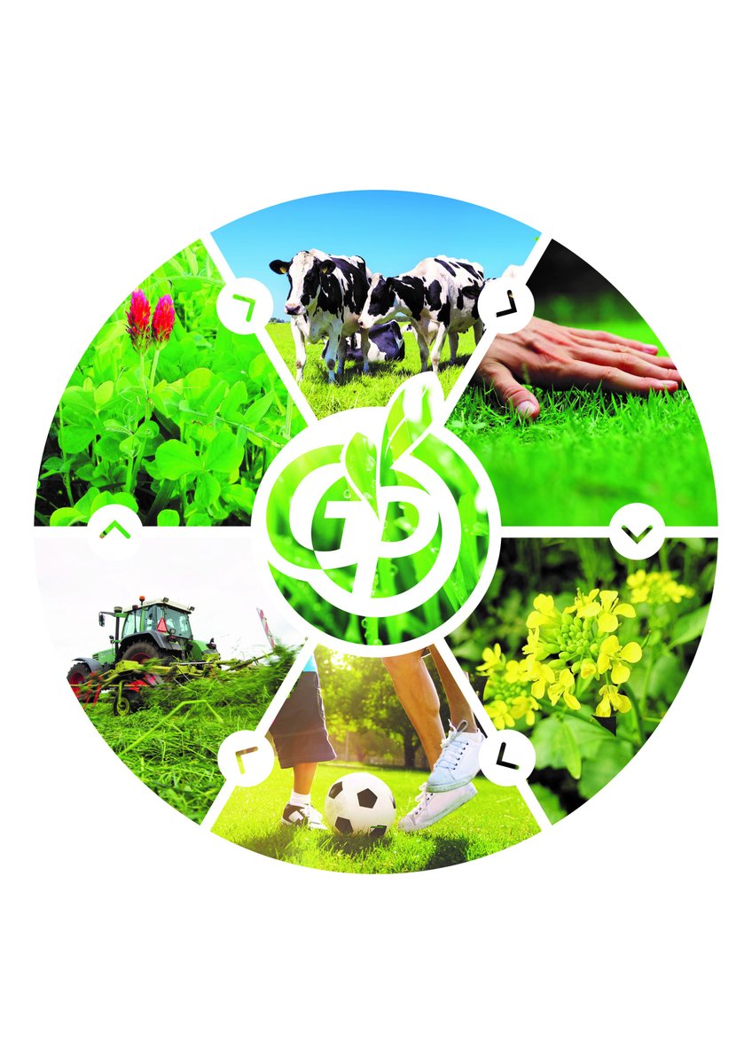 Volg het kanaal GroeiPartners-GPSeeds op WhatsApp: whatsapp.com/channel/0029Va…