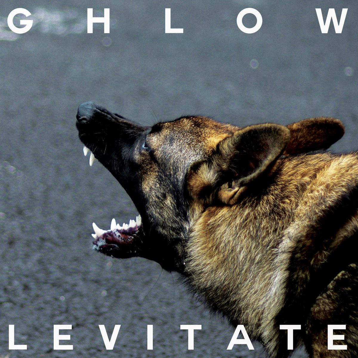 Review | GHLOW - Levitate by Elizabeth Klisiewicz. 'An infusion of hammering metal and punk interspersed with Emille’s vocals, sounding a bit like Siouxsie in spots.' echoesanddust.com/2024/04/ghlow-… @PNKSLM
