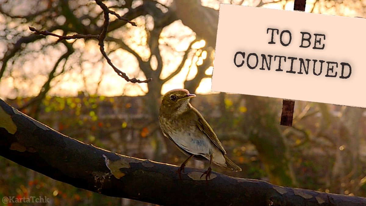 🤩😍🤩😍🤩😍🤩😍🤩😍🤩😍🤩
(✿ ♥‿♥)
#GoodOmens3