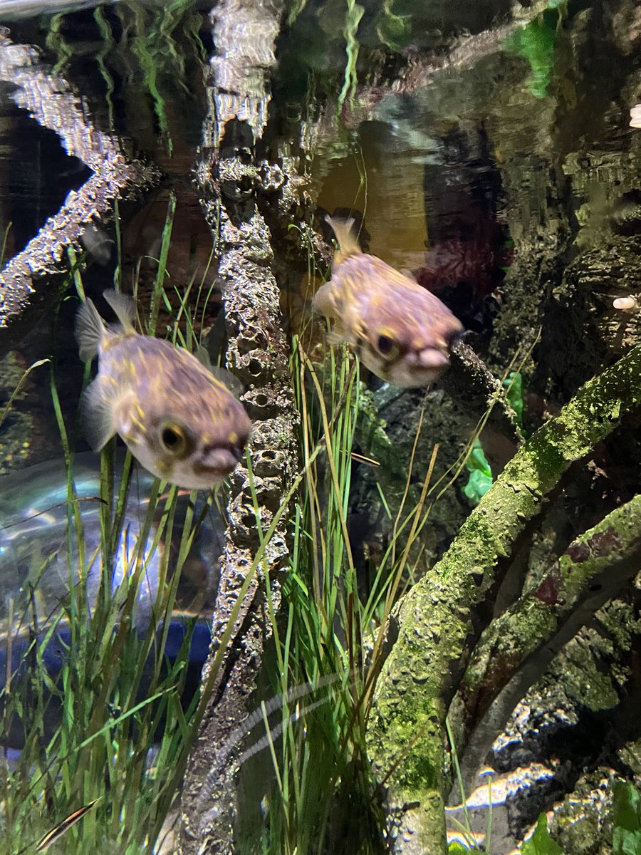 No talk us 
We on daet