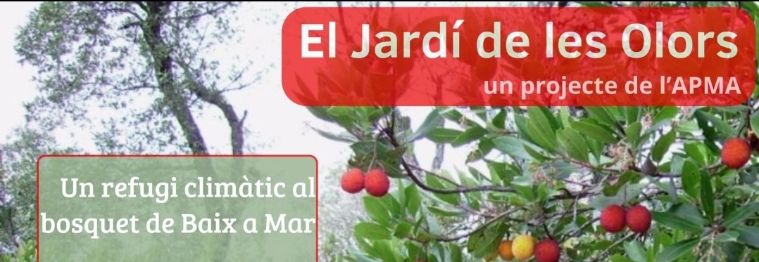 batecdevilanova's tweet photo. Després de més d'una dècada de lluita veïnal per a protegir el Bosquet de Baix a mar, s'obre una porta a la il·lusió.

Un projecte de l' @ApmaGarraf per renaturalitzar un espai verd únic de gran valor mediambiental i paisatgístic. 

Una illa natural en ple centre urbà.
🌳🌳🌳🌳🌳 https://t.co/B5DJwb8iwv