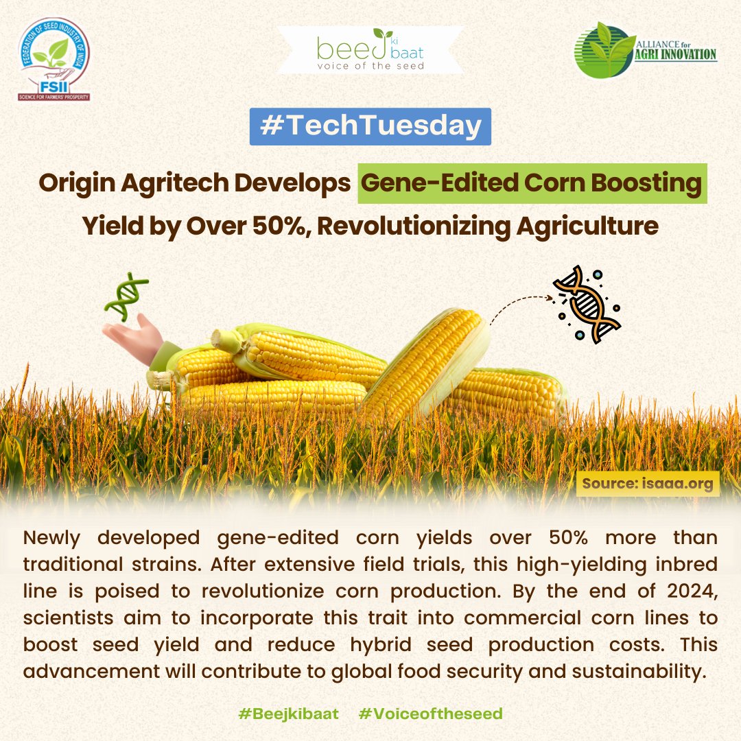Breakthrough in gene-edited corn offers a 50% yield improvement, setting a new standard in agricultural productivity and sustainability, aiming to transform food security worldwide by 2024.

#fsii #beejikibaat #voiceoftheseed #techtuesday #agriculture #agtech #technology