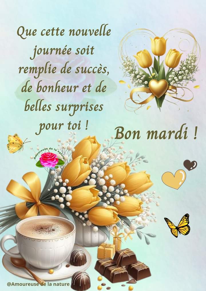 #bonjour #bonnejournée #nature #matin #positivywibes #mardi #nature @LdOptimistes @amelfaradji
