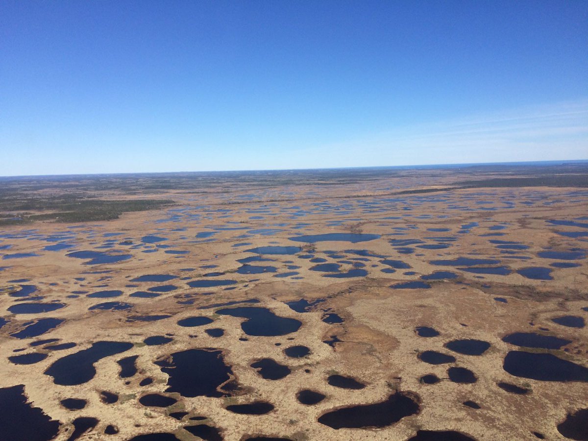 Pierre Taillardat tweet media