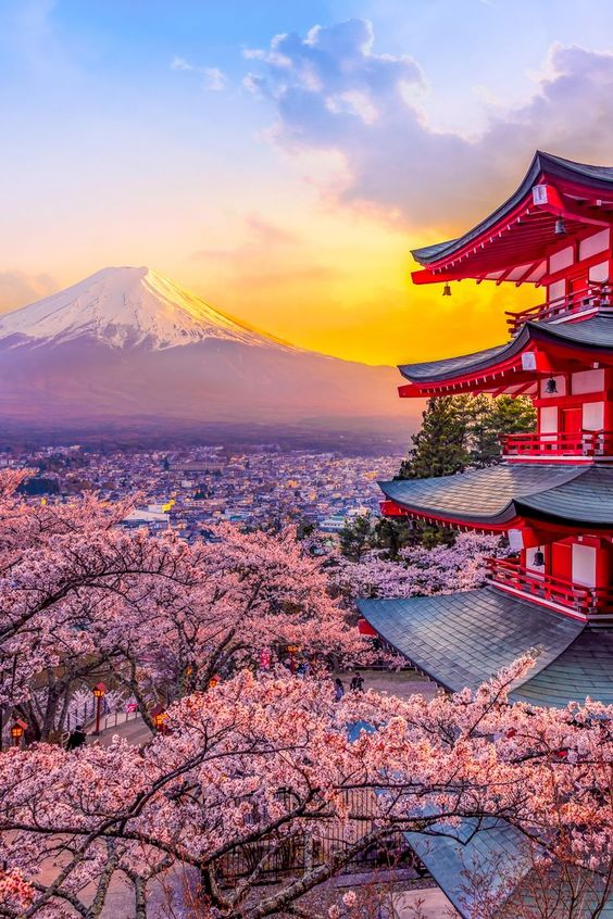 Beautiful Japan 🇯🇵