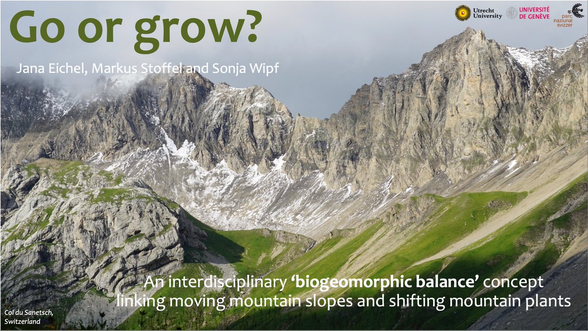 Interested in #mountains, #geomorphology and #plant #traits? Come to my talk at #EGU24 today at 15:15 in room 2.24 (session ITS3.4/NH13.4) to learn how #biogeomorphic feedbacks between moving slopes and shifting plants matter in a changing climate! #GoOrGrow #biogeomorphology
