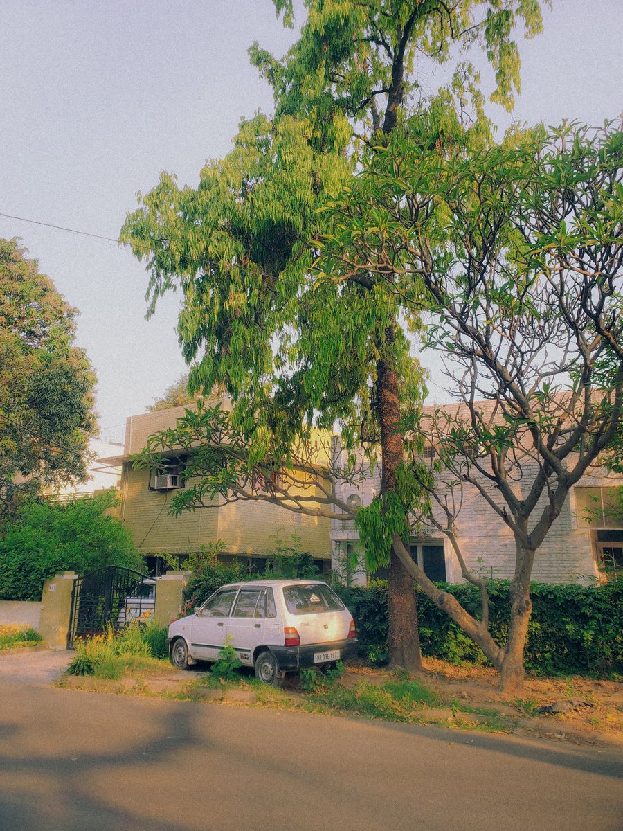 Maruti 800. Chandigarh.