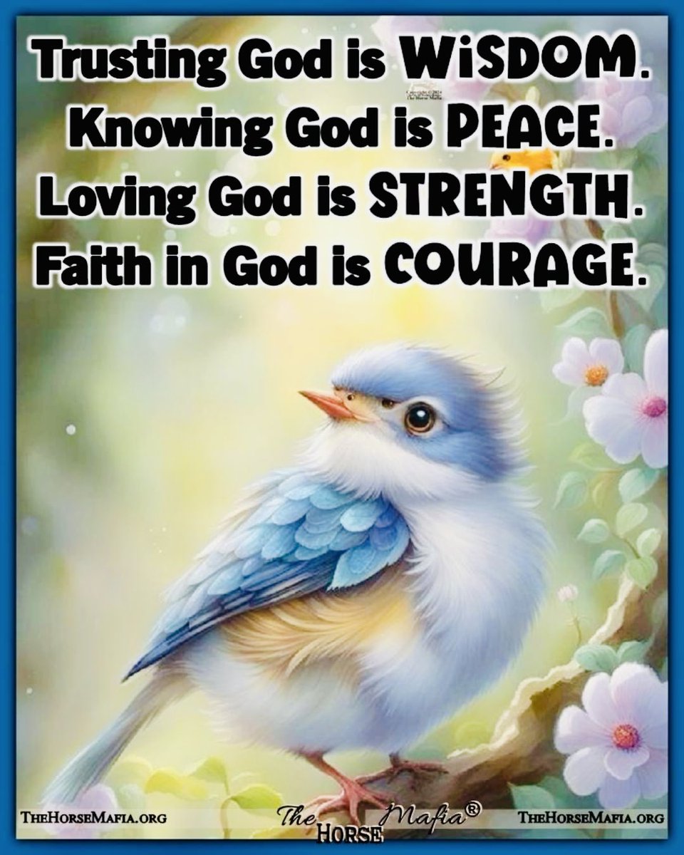 Happy #TuesdayMotivation 💕 Let’s all keep our #Faith in #God & #Pray for #worldwide #PeaceAndLove, #GoodHealth, #Happiness & #Salvation, etc. in the name of #JesusChrist, #Amen. 🙏🏽✝️🕊️ #GodBlessAll #PeaceInTheMiddleEast #PeaceForUkraine #PeaceForTheWorld 🕊️💜✝️💜🕊️