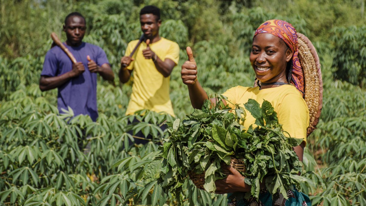 sprout_content's tweet photo. Sprout connects local, regional, &amp; global organizations to provide expert content &amp; real-time services. Our platform makes scientific knowledge accessible to small-scale farmers across Africa. Let's sow the seeds of innovation and growth together! 🌱 #agritech #SproutImpact https://t.co/G8jYVzH8fc