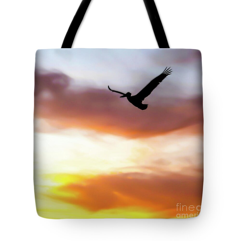 A #brownpelican soars high above a morning sunrise welcoming in 'A Joyous New Day' 🧡

You can find this nature-inspired #totebag in my shop 🧡
#NaturePhotography #sunrise #newday #NewBeginnings #BuyIntoArt #gifts

3-joanne-carey.pixels.com 🧡