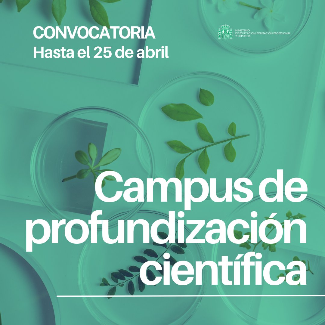 👩‍🔬👨‍🔬Si te interesa la ciencia y estudias 4º de la ESO, apúntate al Campus de Profundización científica que se celebra en Soria en julio.  

🟢80 plazas para estudiantes con una nota media igual o superior a 9.

¡No queda nada para que termine el plazo!⤵️
educacionfpydeportes.gob.es/servicios-al-c…