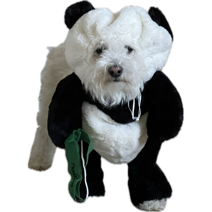 jpegjohn™️ tweet media